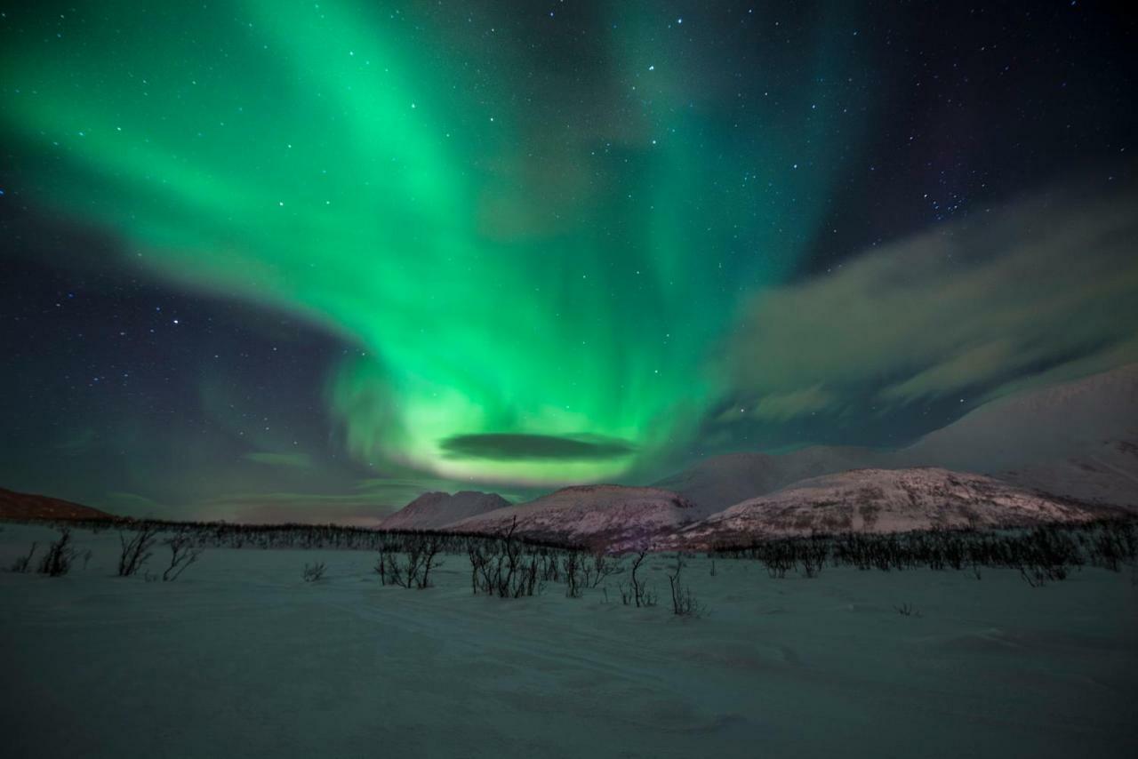 Lyngen Experience Apartments Nord-Lenangen Buitenkant foto